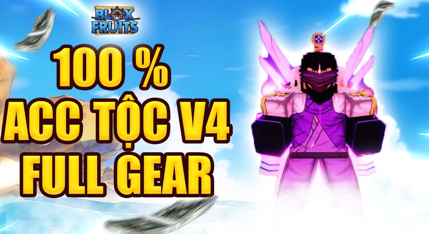 V4 FULL GEAR